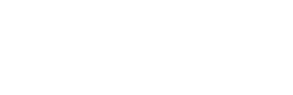 logo-datasoft